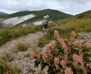 山登りを始めたい方相談のります 山登りのはじめの一歩を踏み出そう！ イメージ5