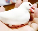 あなたに寄り添います *男性大歓迎✲*ﾟ彼女になります!! イメージ2