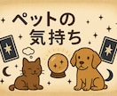 大切なペットの気持ちをタロットで読み解きます 〜ペットの心に寄り添うタロット鑑定〜 イメージ1