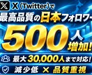 Twitterを拡散し日本人フォロワーを増やします X日本人フォロワー増加！最大30,000人対応可能！ イメージ8