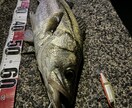 釣りを始めたい方に0から丁寧にアドバイスします 釣りで必要な道具の購入や釣り方を0から丁寧にサポート! イメージ5