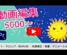 YouTubeの動画編集をお手伝いします YouTubeを初めたいけれど、編集ができない、時間がない イメージ1