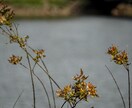 欲しい雰囲気の写真を代わりに撮って差し上げます 編集作業まで済ませたクオリティの高い写真が欲しく無いですか？ イメージ6