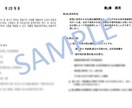 ネイティブ韓国人が韓国語⇄日本語翻訳致します 日本会社勤務経験の韓国人！日本語のみ勉強した人とは格が違う！ イメージ2