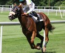 1ヶ月分の【中央競馬の買い目・高配当予想】します 毎週土日中央競馬の買い目をお届けします！！ イメージ10