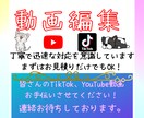 TikTok、YouTube動画の編集いたします 丁寧かつ迅速にTikTok、YouTube動画編集いたします イメージ1