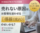 EC歴17年｜店舗の課題と「改善点」を特定します 楽天・Yahoo・自社ECサイト対応！EC診断 イメージ1
