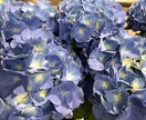 心が軽くなるお手伝いします 時間を気にせずいつでも寄り添います イメージ1