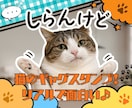 猫のギャグLINEスタンプ作ります 日常ネタ発想で猫スタンプ制作します イメージ1