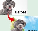 Photoshopでの画像修正・切り抜き承ります 画像の修正、切り抜きを安価で承ります イメージ1