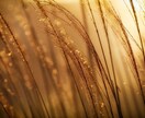 お金がない人生からあなたを救います 三次元病【財のどん底病】お金がないのはあなたのせいではない！ イメージ3