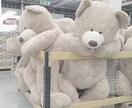 3日間あなたに寄り添います ෆ̈ 恋愛の経験を積みたい方、癒しを求めている方へ ෆ̈ イメージ3