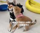現役女子高校生がお話聞きます 誰でも何分ならでもOK!女子高生とお喋りしたい方募集中です! イメージ1