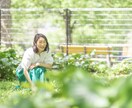 ペットからのメッセージをお伝えします 【マヤ暦でわかるペットとの相性・メッセージ】 イメージ1