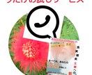 【登録記念ワンコイン】もう散々傷ついたあなたへ☆今すぐ癒されたいあなたへ～聴くヨガセラピー編～ イメージ1