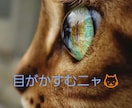 目の疲れに強力波動！3日間で視界がクリアになります 疲れ目に心地よい癒しの波動を与え、眼精疲労を撃退！ イメージ2