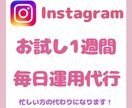 毎日運用が難しい方のお役に立ちます Instagram1週間お試し運用代行 イメージ1