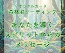 森林浴リーディング｜スピリットメッセージを伝えます 森のスピリットから今のあなたへを導くメッセージを届けます イメージ1