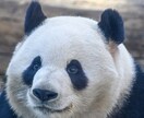 人間関係の悩み聞きます みなさんの心をすこしでも軽くします！ イメージ1
