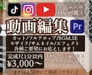TV編集経験有り!!動画編集承ります MV/YouTube/Tiktok/Instagramなど！ イメージ1