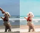 プロフ、コスプレ、想い出の写真を可愛く綺麗にします 当日即納！最短数時間◆満足いただけるまで無料調整OKです イメージ3