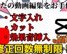 簡単な文字入れやカット効果音挿入などを行います お客様がが納得するまでやり続ける イメージ1