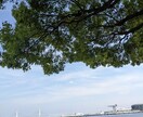 心が落ち着かない人へ。会話で心をすっきりさせます 心のモヤモヤは言葉で晴れます、少しでも力になれたら嬉しいです イメージ6