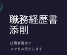 転職！職務経歴書、面接対策承ります 理系エンジニア目線でアドバイスいたします！ イメージ1