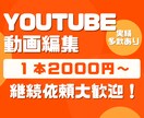 Youtubeの動画編集を１本2000円で承ります おもしろ系 / おしゃれ系 / ビジネス系なんでもOK！ イメージ1