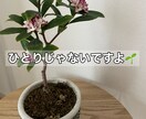 あなたのお悩みを受け止めます 生きづらい世の中を休憩しながら生きてみませんか イメージ1
