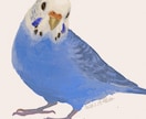 アイコンイラスト描きます SNSの顔になるイラスト描きます イメージ3