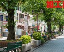 写真をオシャレに加工します 写真を青っぽくてやわらかい印象に加工します！ イメージ4