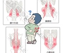 医療・看護・教材イラスト ポップな絵柄で制作します 健康フィットネス系、筋肉・骨格・臓器、医療器具etc… イメージ6