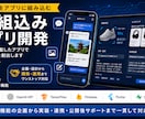 AIを組み込んだスマホ・Webのアプリを開発します 既存アプリへのAI追加から、新規のAIアプリ開発まで対応可能 イメージ1