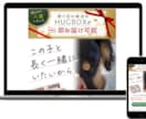 既存のホームページの要素・ページ追加を行います ご要望に合わせ、満足いただけるサービスをご提供いたします イメージ7