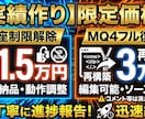 MT4のEAデコンパイルや口座制限の解除を承ります 実績作り特別価格！EX4解除1.5万円／MQ4復元3万円 イメージ1