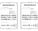 IPA情報処理技術者試験・午後Ⅱ論文を添削します 早割中！相談無料、ITストラテジストなど５区分対応 イメージ5