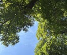 不登校解消のために|親子関係を良くします 不登校ママ専門｜20年ナースが親子のためのカウンセリング イメージ4
