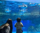 看護師があなたのお話聞いて寄り添い心を癒します 日々頑張りすぎてしまうあなたへ陽だまりのような休息時間を イメージ4