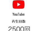 YouTube動画＋2500再生数拡大します 高コスパ！1再生あたり1円以下！ イメージ2