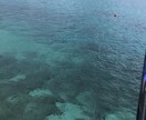 沖縄の写真撮ります 沖縄に行きたいけど行けないあなたに❗️ イメージ4
