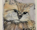 猫ちゃんワンちゃん描きます 大切なワンちゃんニヤ〜ちゃんコンテ画にします。 イメージ5