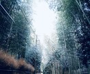 綺麗な風景の写真を提供します 加工用の元写真が欲しい方、風景の写真が好きな方へ イメージ2