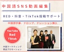 中国語SNS・RED・TikTok等動画編集します 翻訳・音声収録・字幕制作までワンストップで対応する動画編集 イメージ1