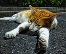 3分でもOK♪♪あなたのお話何でも聞きます ♪秘密厳守!否定しません!短くてもOK!何を話してもOK! イメージ6