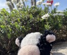 愚痴やただ話きいてって方お待ちしてます 友達や家族には話せないけど、誰かに話したい！ イメージ1