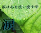泣かせてもらえないアナタの泣き場所になります 今日くらいは声をあげて泣いてもいいじゃない イメージ4