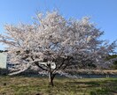 保育の悩み聞きます 幼少期(2歳児から)の育児の悩みをぶつけてください。 イメージ8