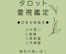 霊視で知るあの人の心♡恋愛波動リーディングします 届かぬ片思い・復縁♡霊視と波動で恋を結ぶ イメージ7