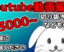 格安!!YoTubeなどの動画編集します YouTuberさん、Vtuberさんにおすすめ！！ イメージ1